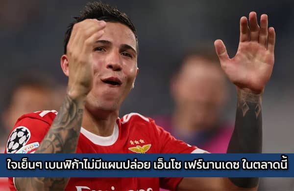 ใจเย็นๆ เบนฟิก้าไม่มีแผนปล่อย เอ็นโซ เฟร์นานเดซ ตลาดหน้าหนาว