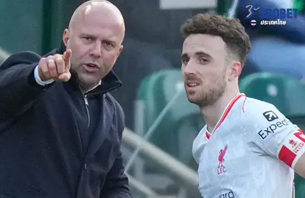 หงส์ไม่อ้าง โชต้า